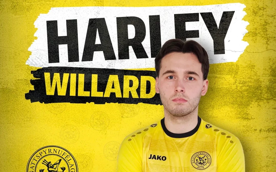 Við kynnum Harley Willard